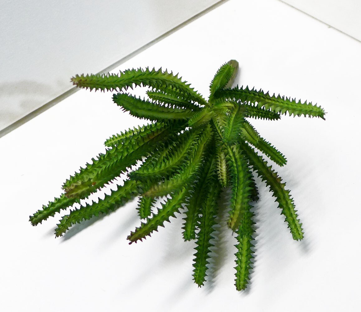 2 Pcs Artificial Fake Cactus Column Succulents Plants Green Home Garden (#123 B)