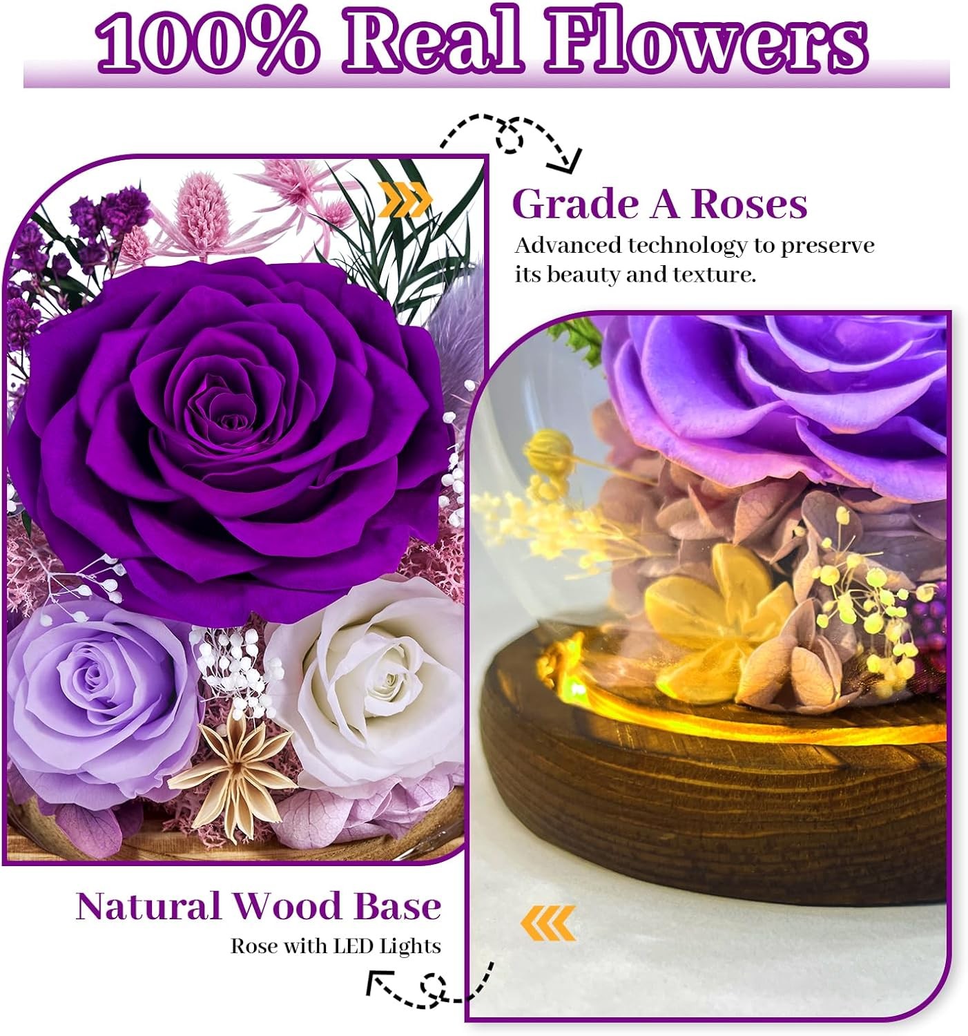 Preserved Roses Forever Rose in Glass Dome – Birthday Gifts for Women Mom, Real