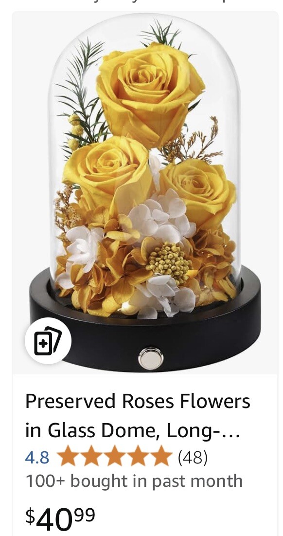 Preserved Roses Flowers in Glass Dome