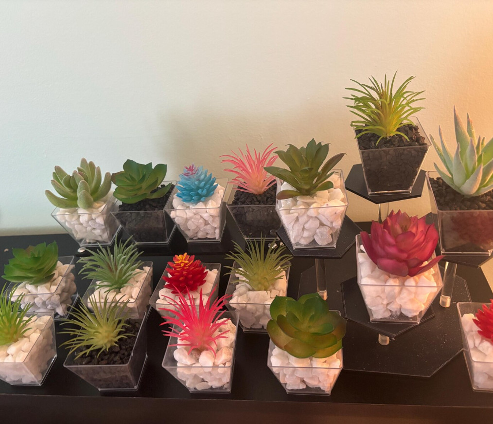 Assorted Faux Succulent Plant 10 pc Set – Artificial / Fake Realistic Indoor