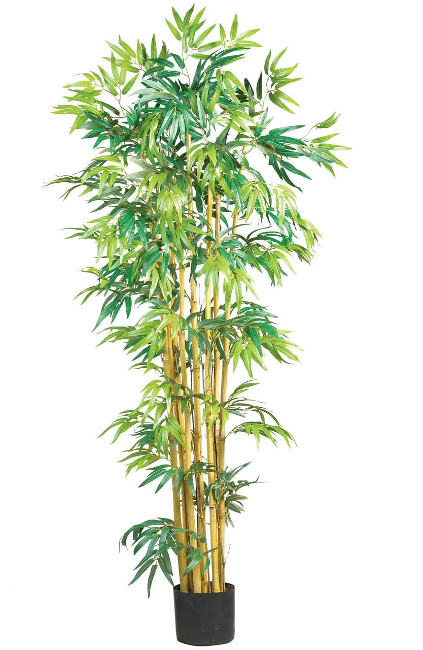5′ HIGH QUALITY SILK BAMBOO Bambusa Fake TREE Realistic Artificial