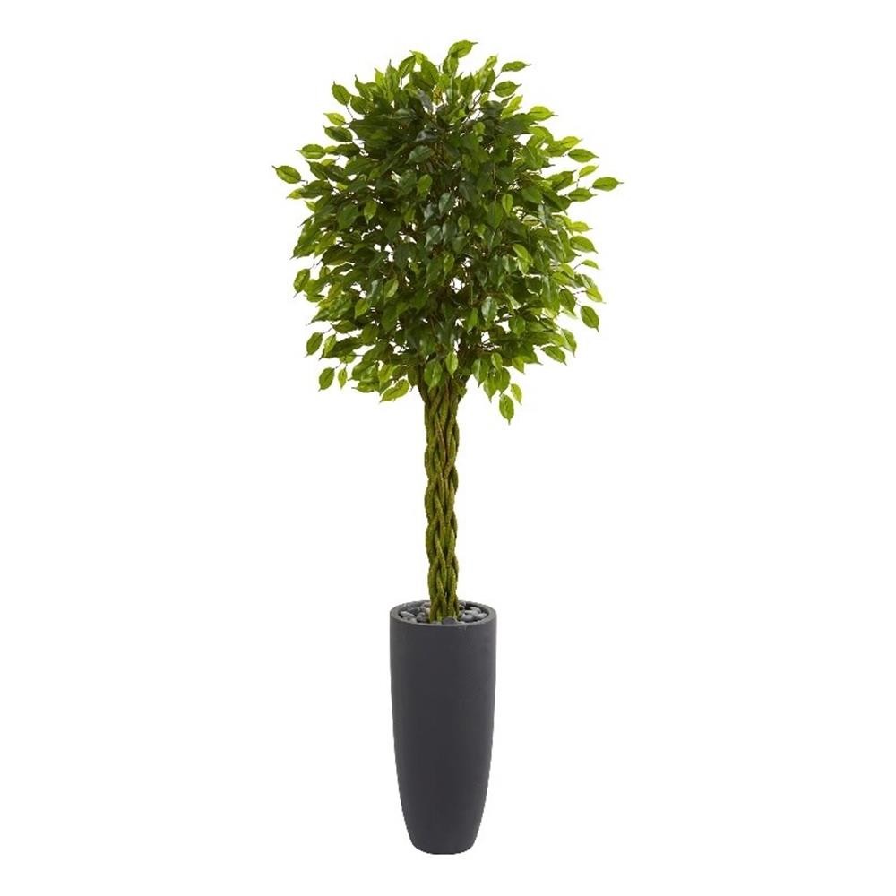 Nearly Natural 6.5ft Braided Ficus Tree in Cylinder Planter UV Resistant