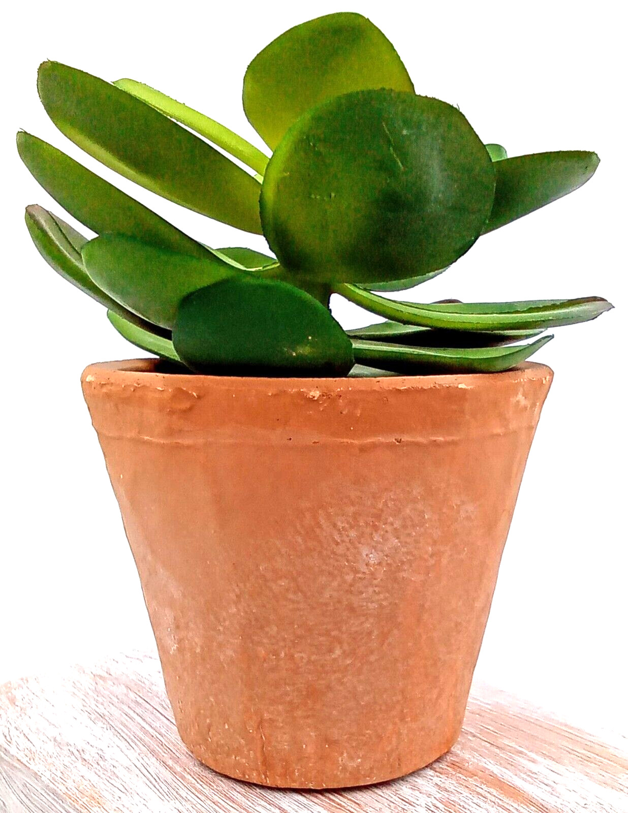 Succulent Clay Pot Planter Faux Dirt Artificial Plastic Green Floral Indoor 6×4″