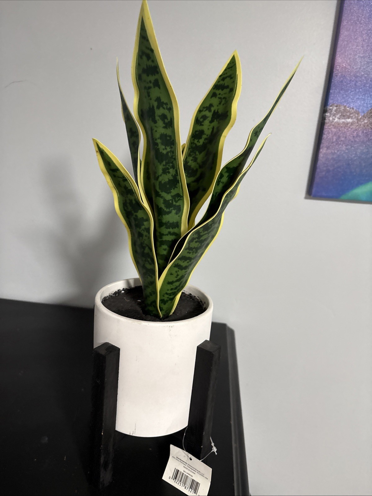 Artificial Snake Plant