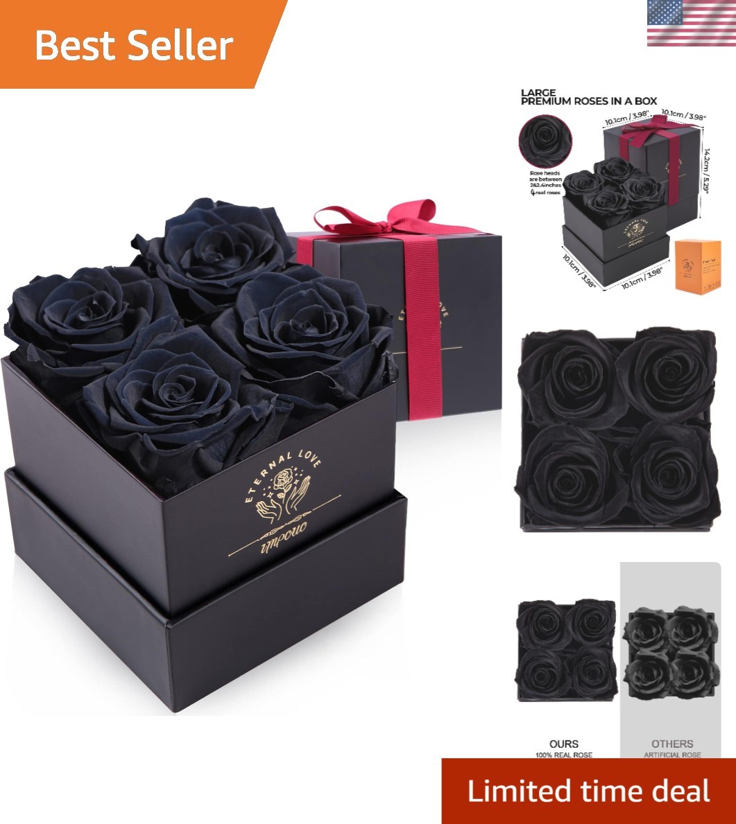 Black Preserved Rose in Elegant Box – Perfect Valentine’s & Birthday Gift
