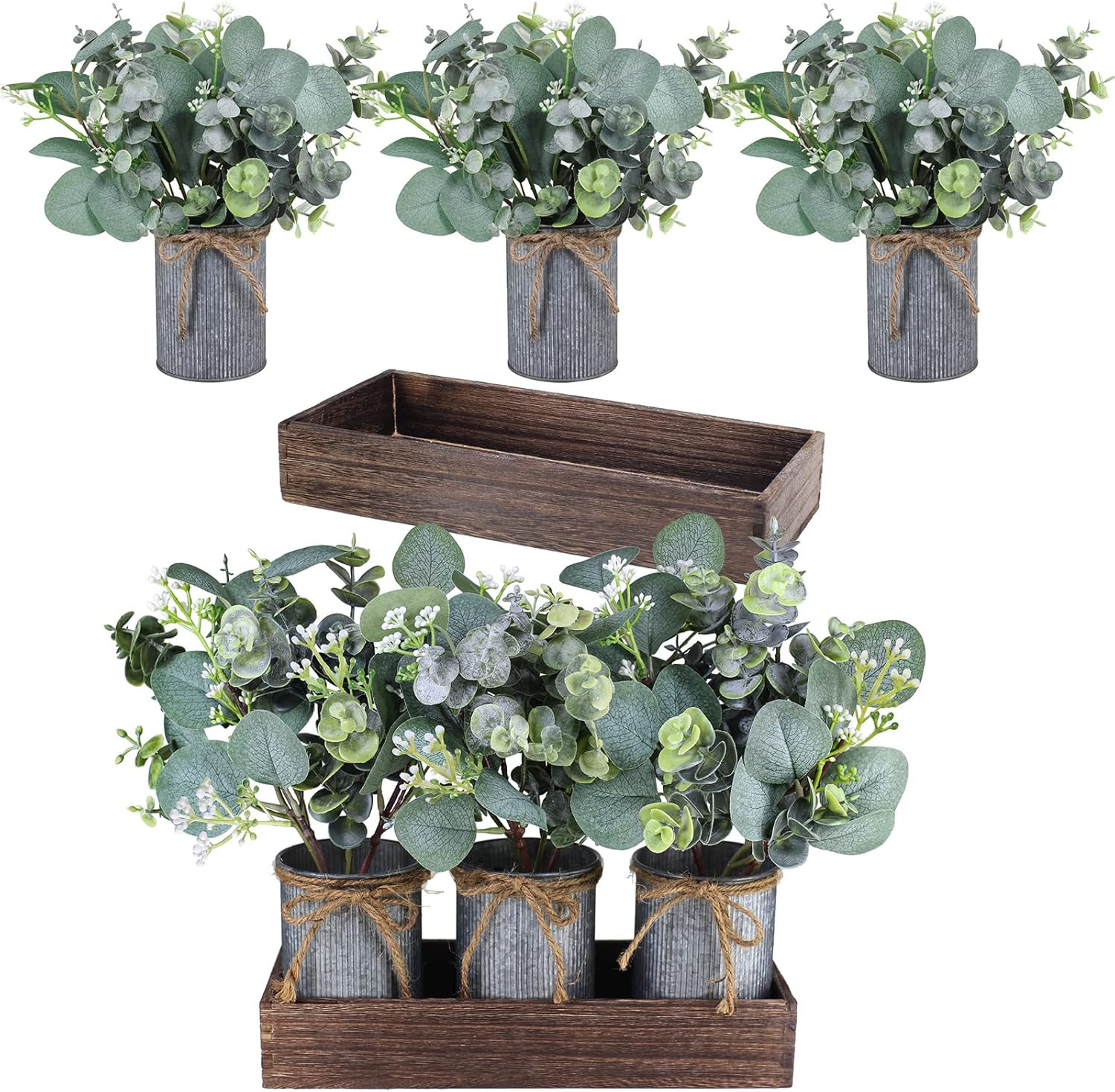 Set of 3 Farmhouse Galvanized Metal Pots Centerpiece Artificial Silver Dollar Eu