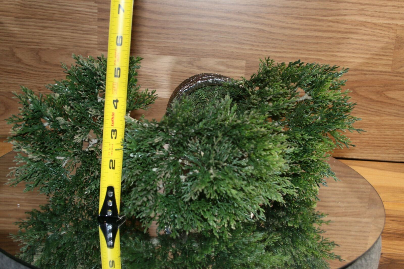 Bonsai Faux Japanese Pine Fake Tree 10x12x6″ Never Dies Cool Home Decor