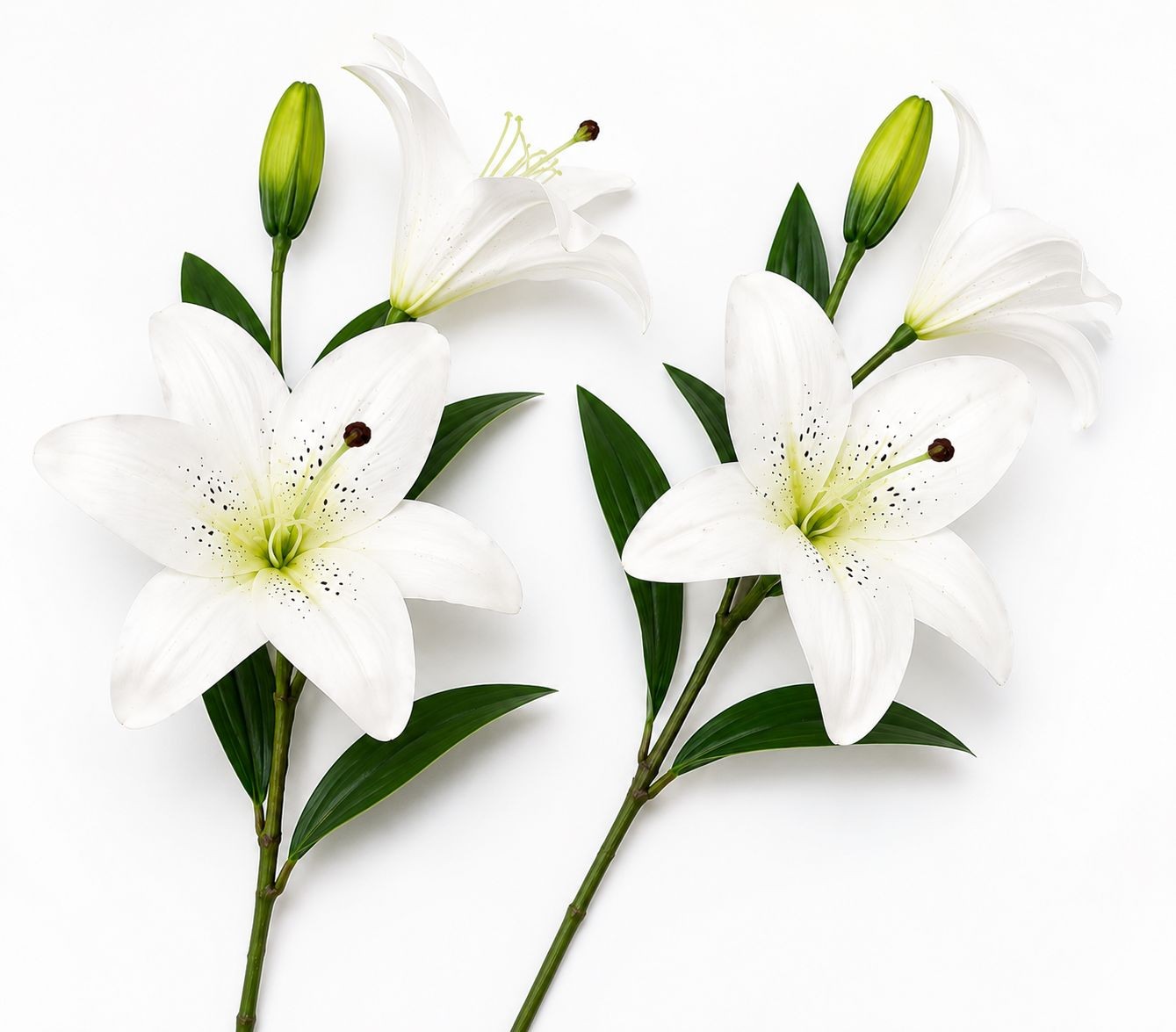 Real Touch White Lily Stems Set of 2, Artificial Lily Flowers, Faux Floral Stems