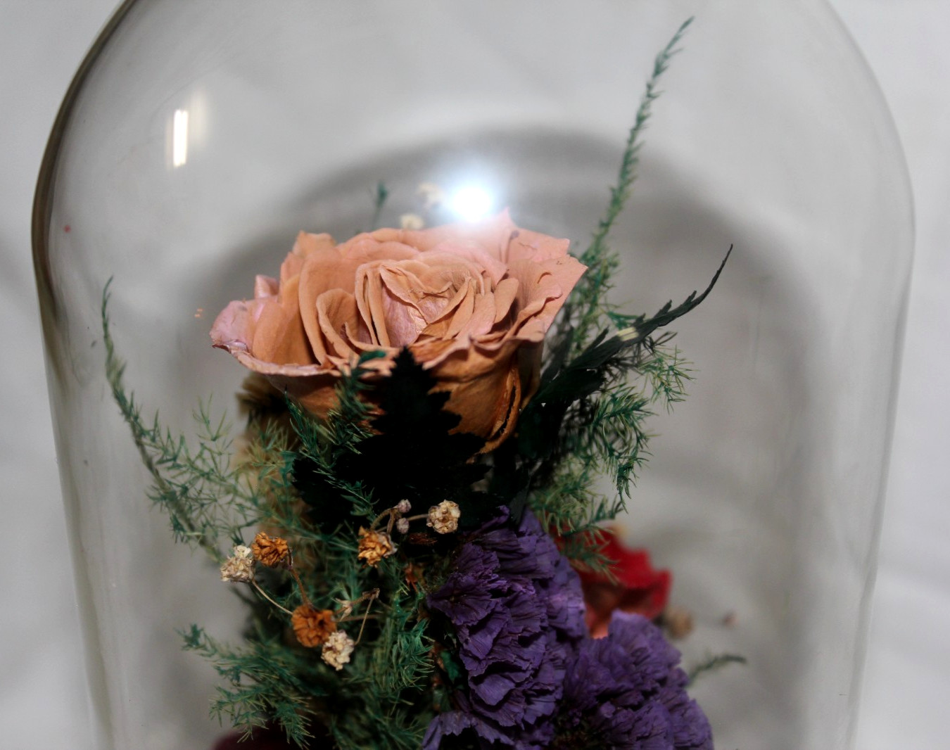 Natural Expressions – Real Freeze-Dried Rose Floral Arrangement in 8″ Glass Dome