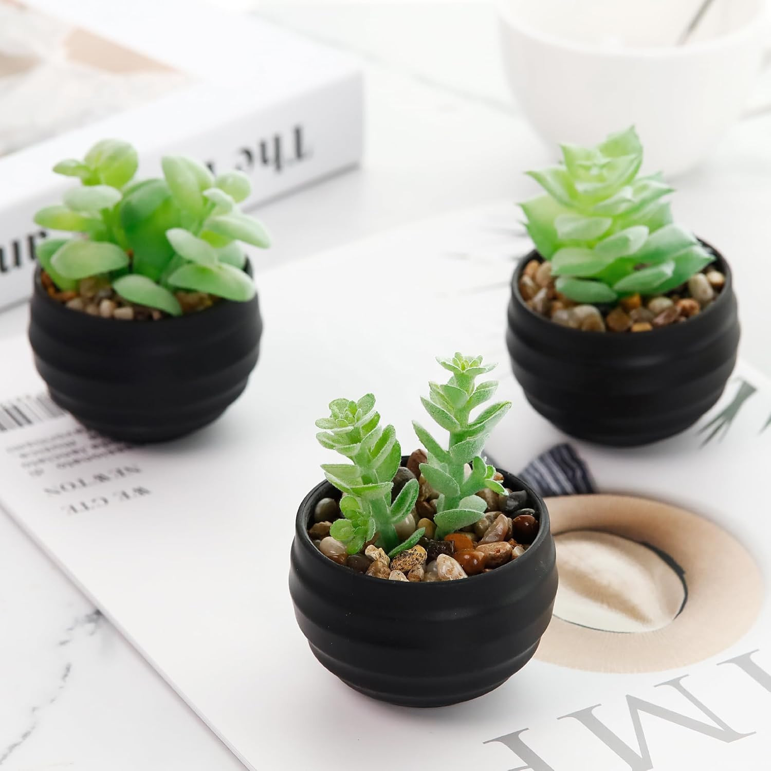 Set of 6 Succulents Plants Artificial in Pots Small Fake Plants for Halloween De
