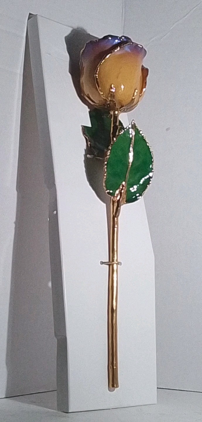 Real Rose Preserved In 24K Gold – Yellow w/Violet Tip