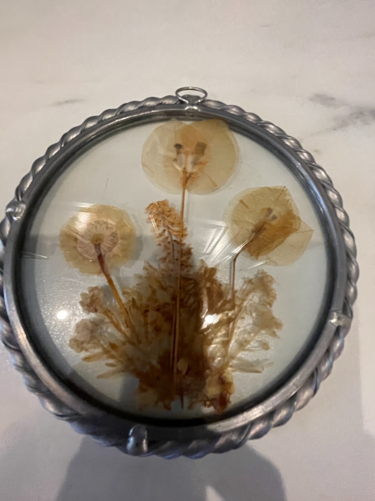 Vintage Lasting Impressions Real Dried Pressed Flowers In Glass W/ Metal Frame