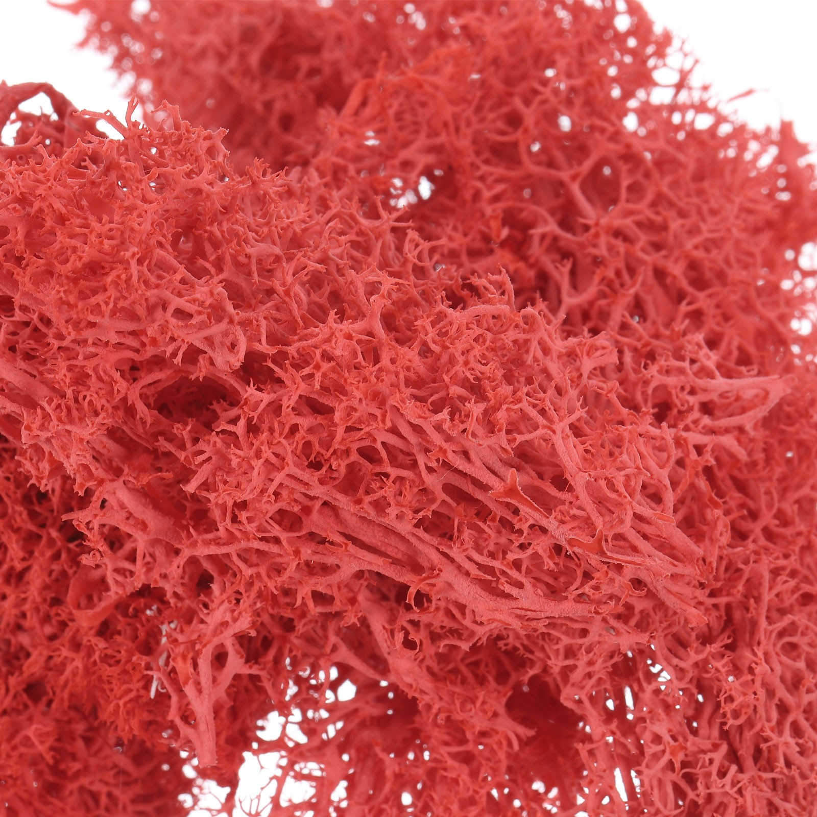 7 OZ Fake Moss, Preserved Decorative Moss with Box for Potted Plants, Red