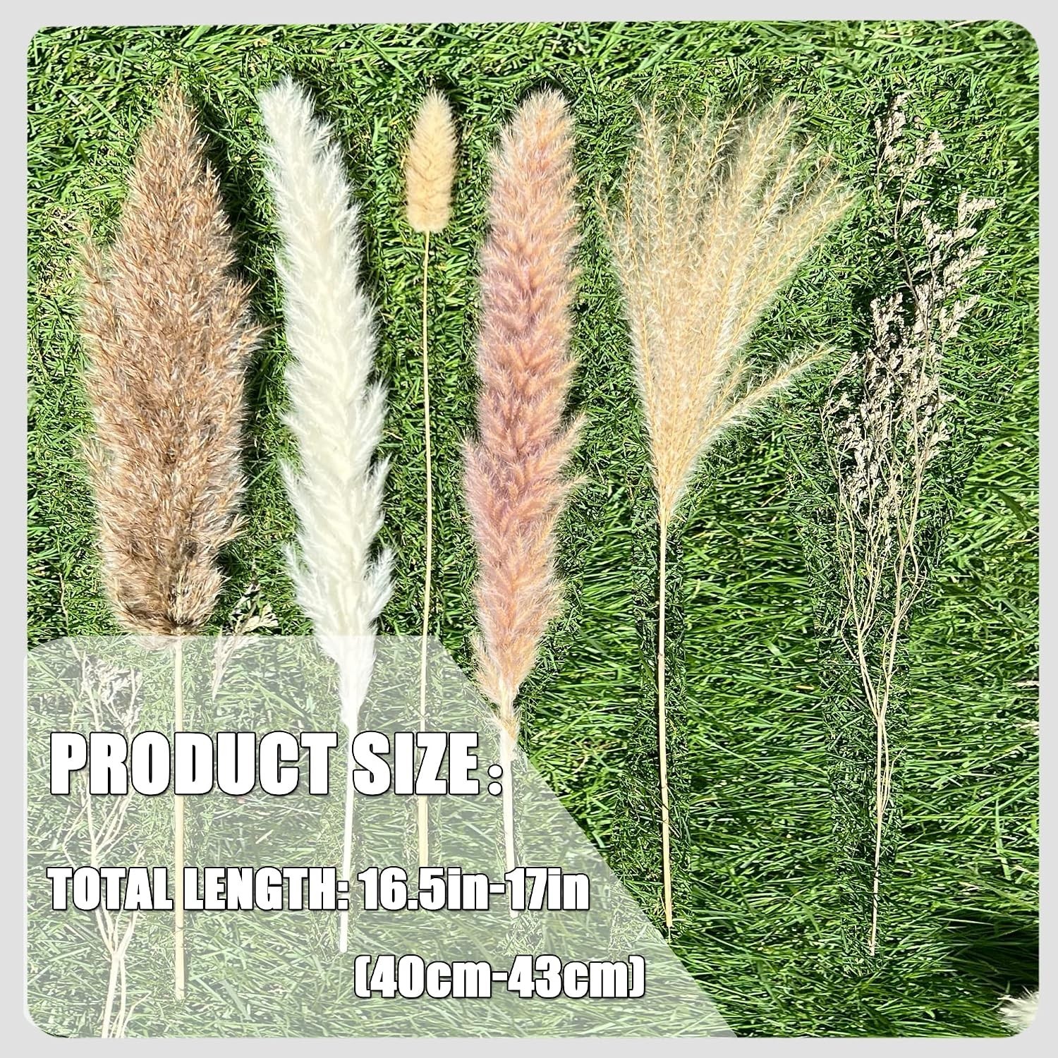 100Pcs Pampas Grass Boho Home Decor 17 inch Natural Dried Flowers-Pampas Gras…