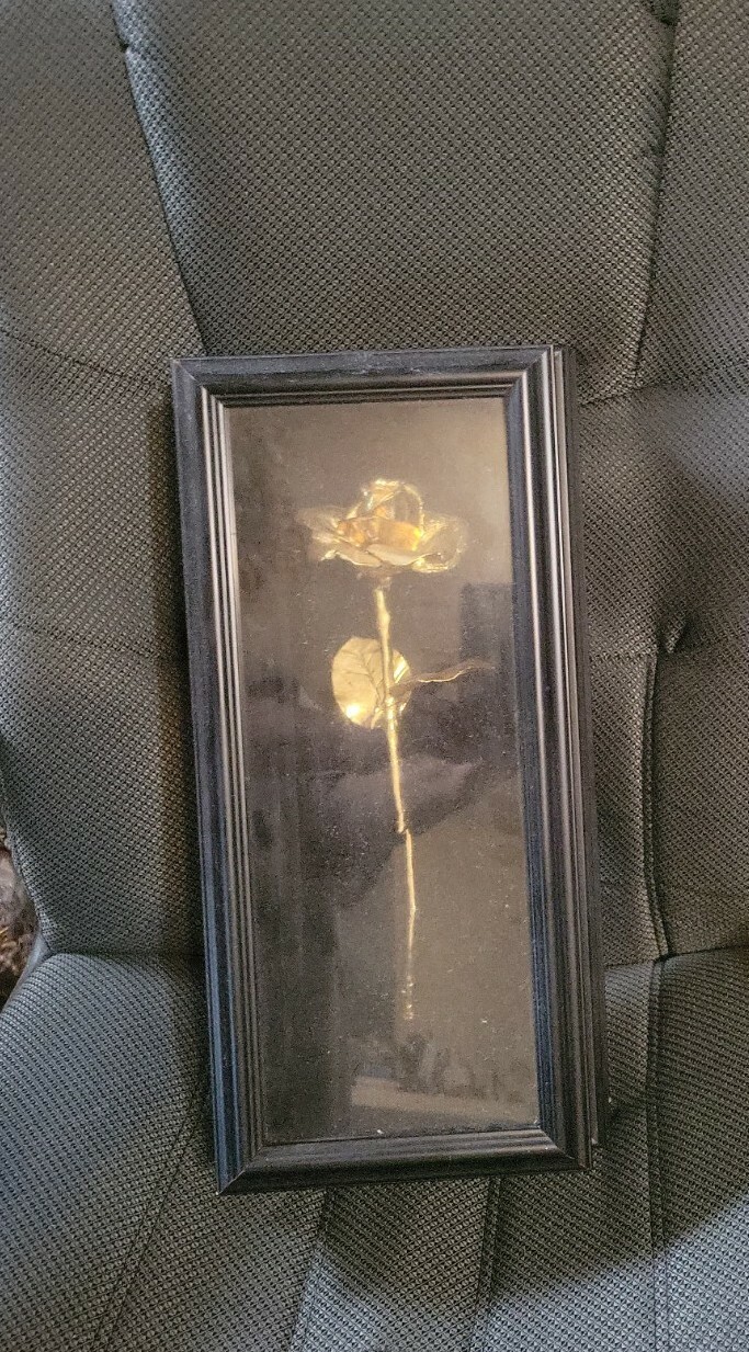 Real 24 Karat Gold Dipped American Rose Valentines mothers day gift