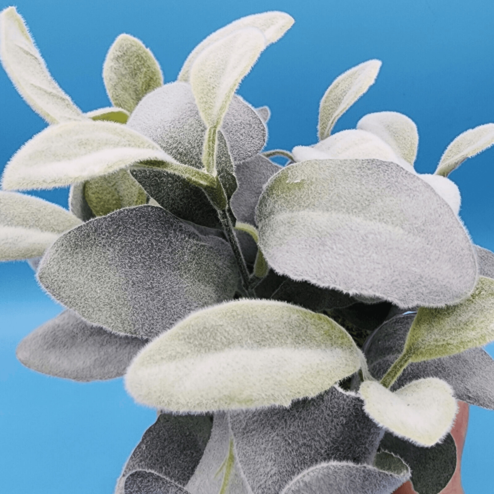 Flocked Lambs Ear Artificial Plant with Moss In Brown Paper Pot 10 inch