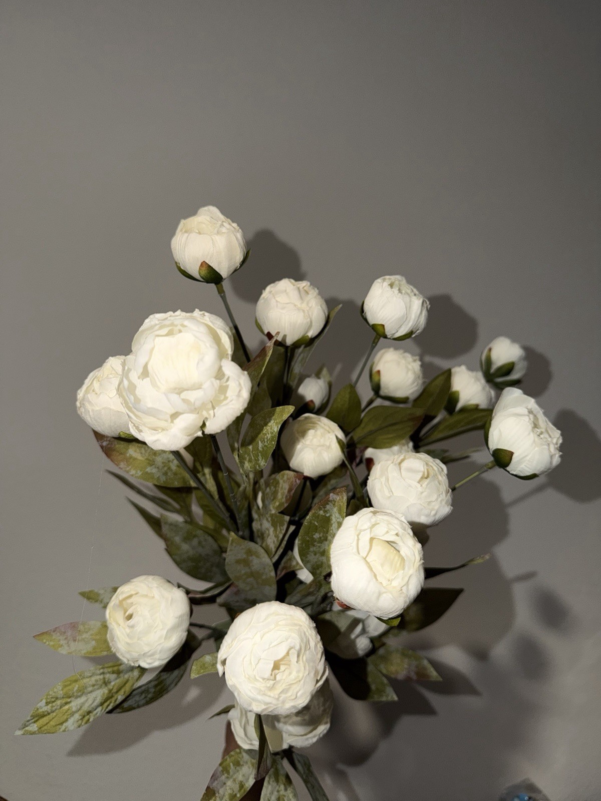 Michael’s Ashland Cream Viral Peony Stems Set of 4 New