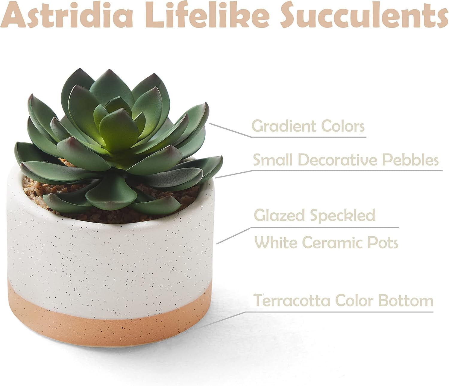 Set of 3 Faux Succulent Plants in Ceramic Pots for Home & Office Decor