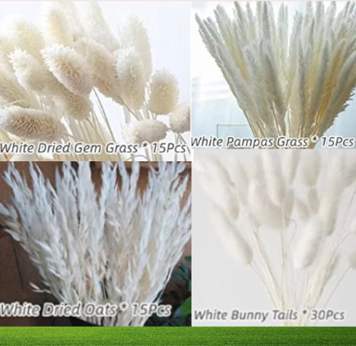 75 Pcs Dried White Pampas Grass 17″ Decor for DIY Flower Arrangements #20