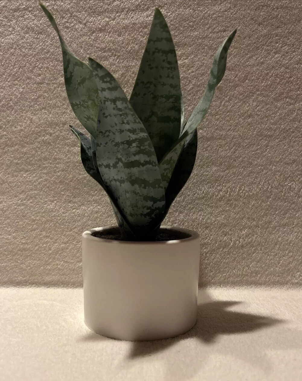 5 Faux Potted Houseplants Threshold 3-4 Inch Pots