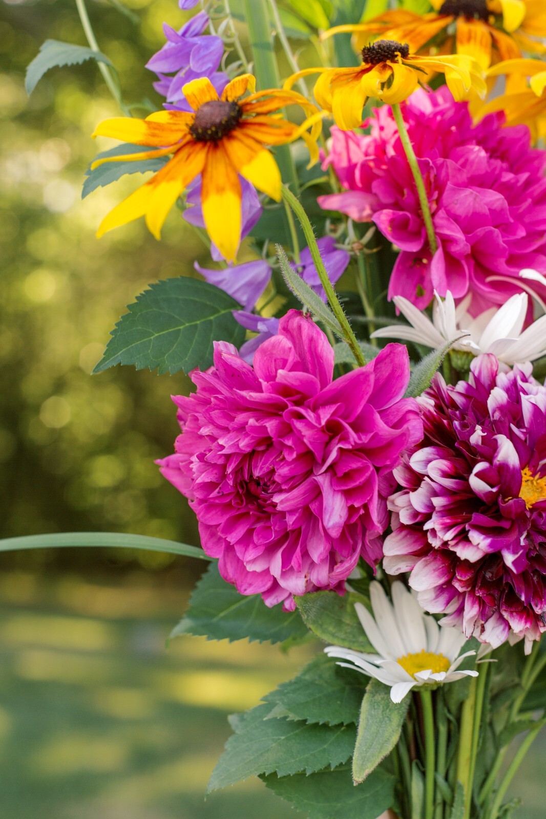 Fresh Cut Variety Flowers – Garden of Eden Flower Company