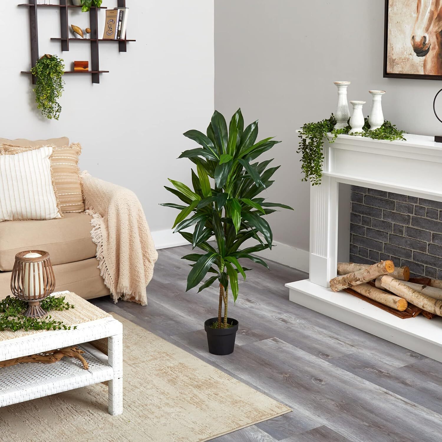 48In Dracaena Silk Plant (Real Touch) Green