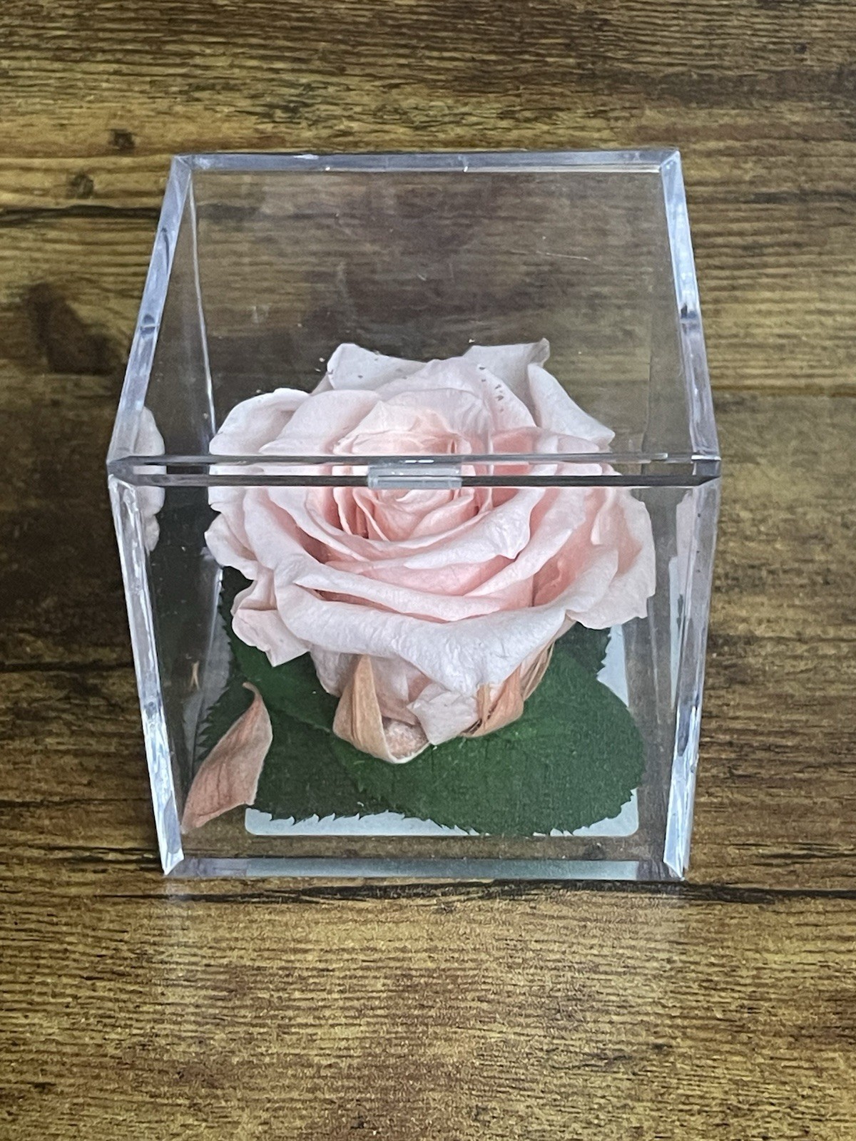 Verdissimo Preserved Rose Head in a Clear Acrylic Cube Light Pink Standard Size