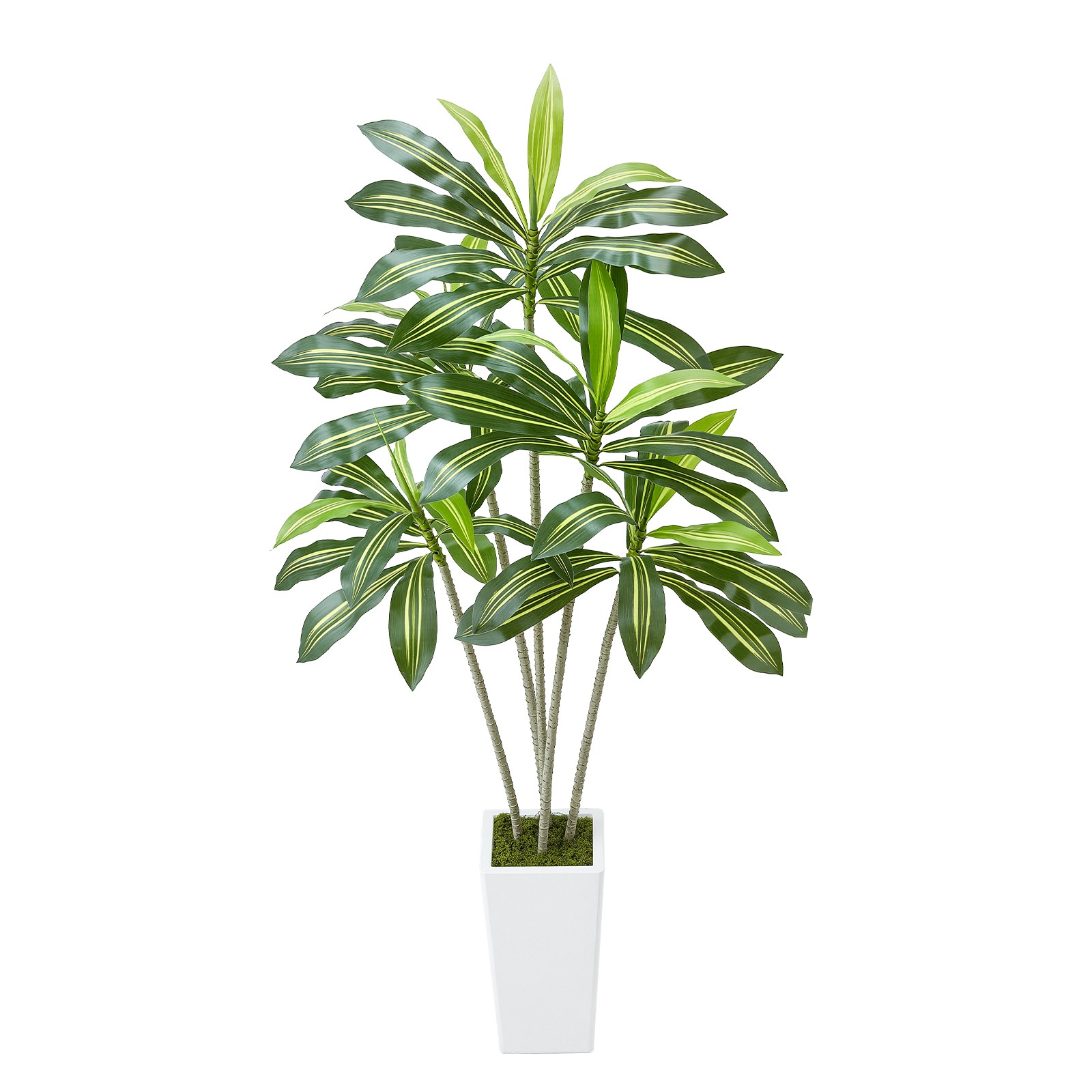 Uimoso 6ft Faux Dracaena Tree with White Pot for Indoor Spaces