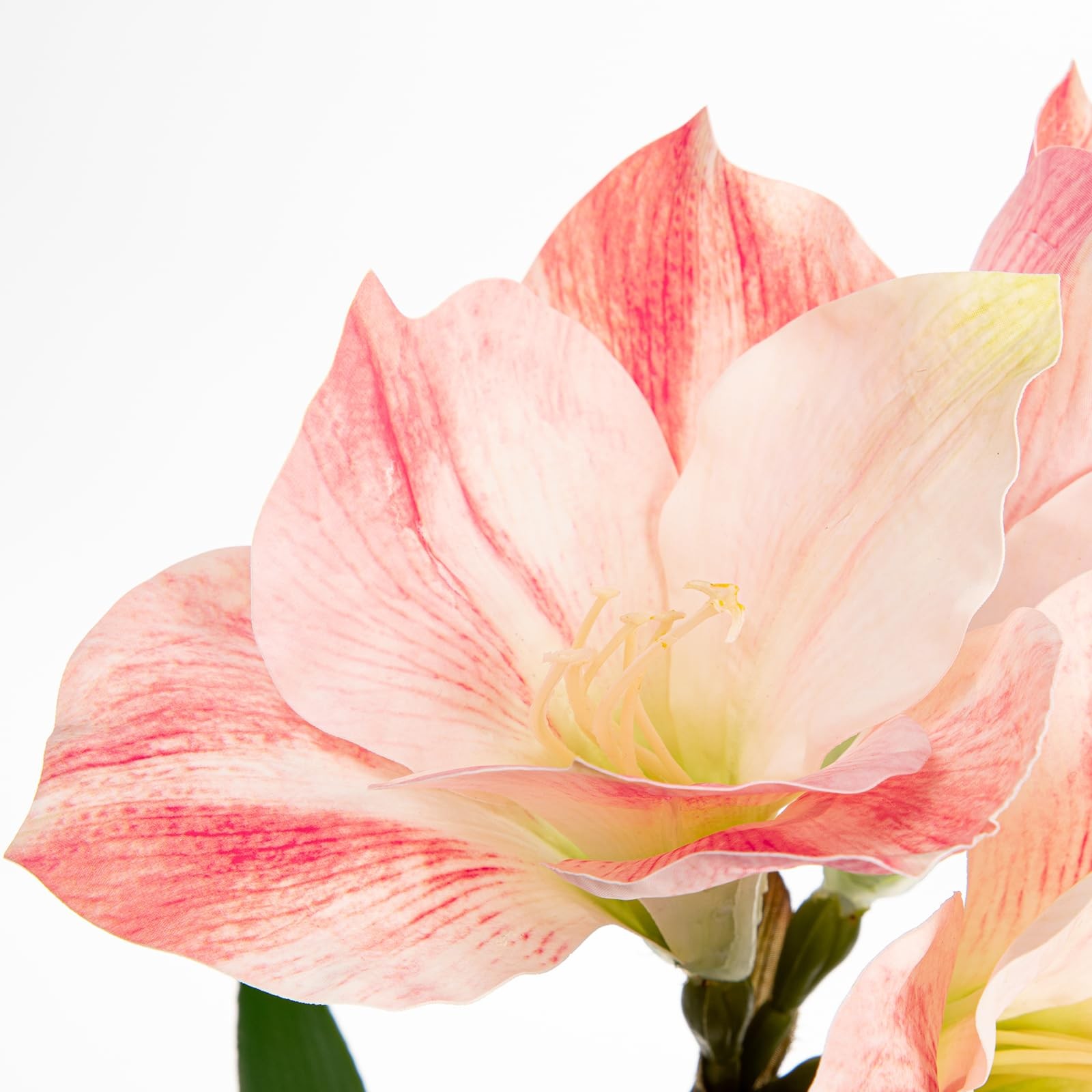 Pink Fake Amaryllis Flowers 17.3 Inch Silk Plant Black Pot Artificial Decor