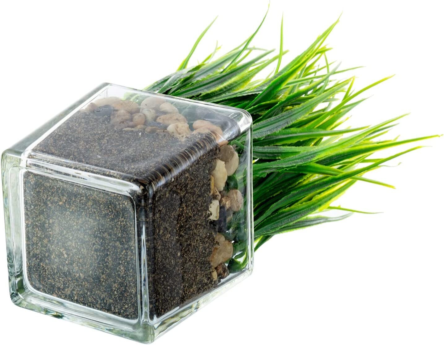 Artificial Grass Plants in Clear Glass Pots w/ Faux Pebbles & Soil, Set of 2