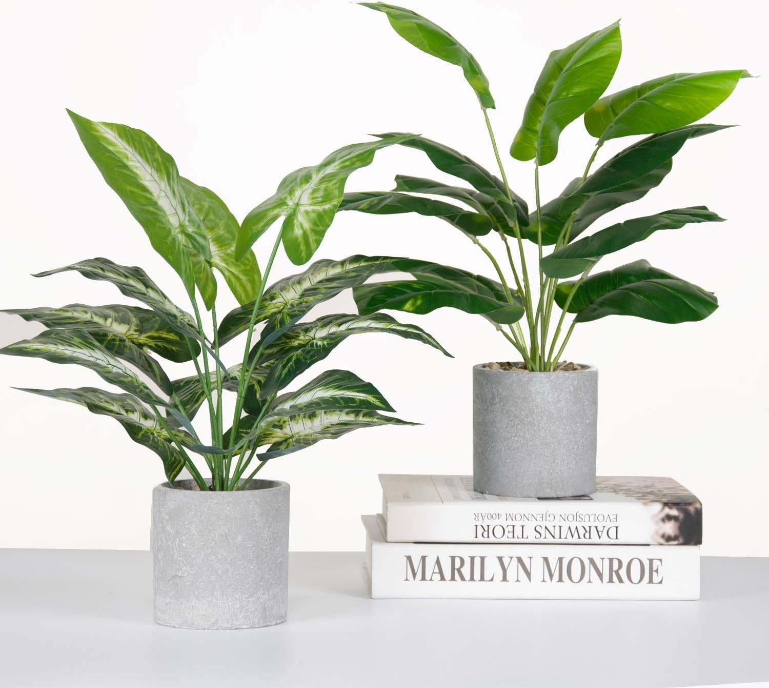 Elegant 2 Pack of Faux Tropical Plants – Perfect for Home or Office Styling