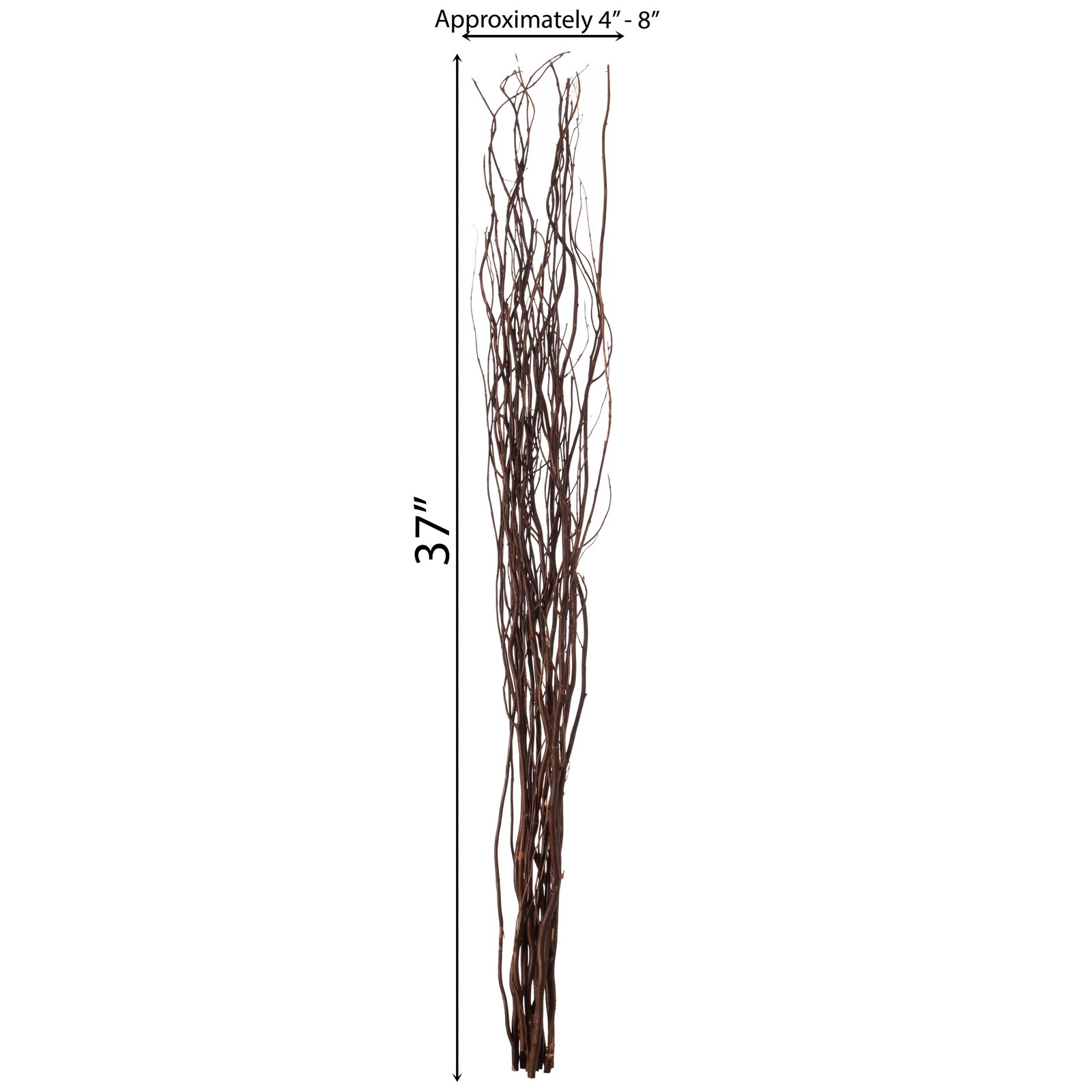 Decorative Dry Branches Authentic Willow Sticks for Home Decoration, 12 Pieces