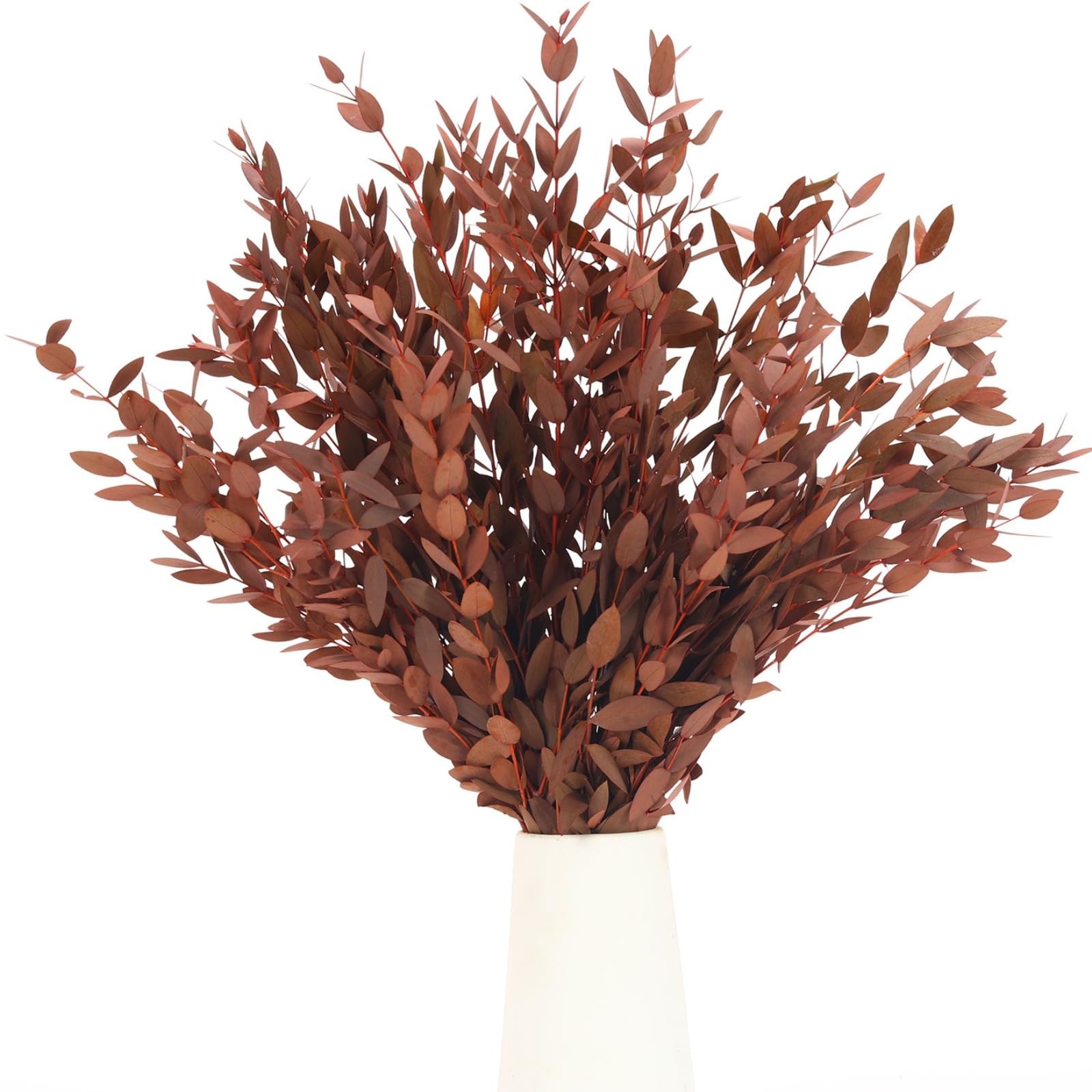 Preserved Eucalyptus Leaves Branches 1417 Inch Vase Filler Orange