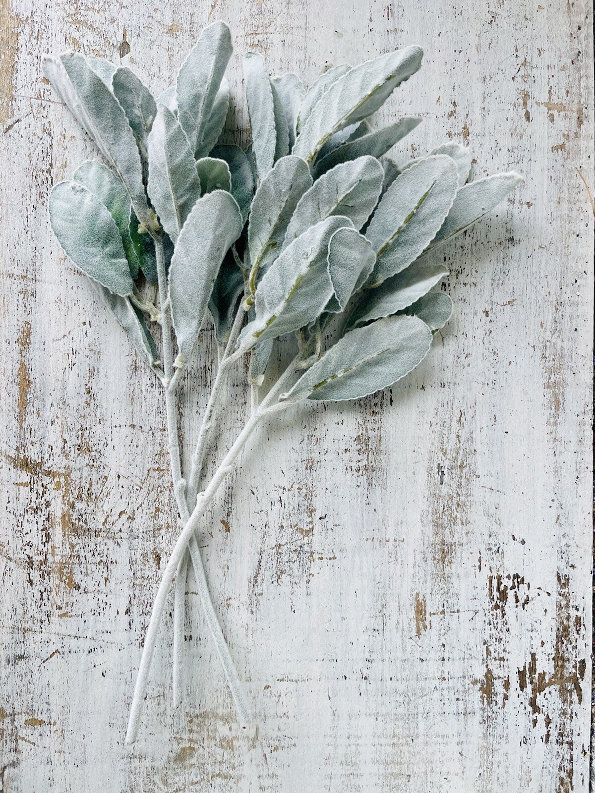Frosted Lamb’s Ear Pick, 15” Bundle Of 3 Floral Arrangements Greenery New