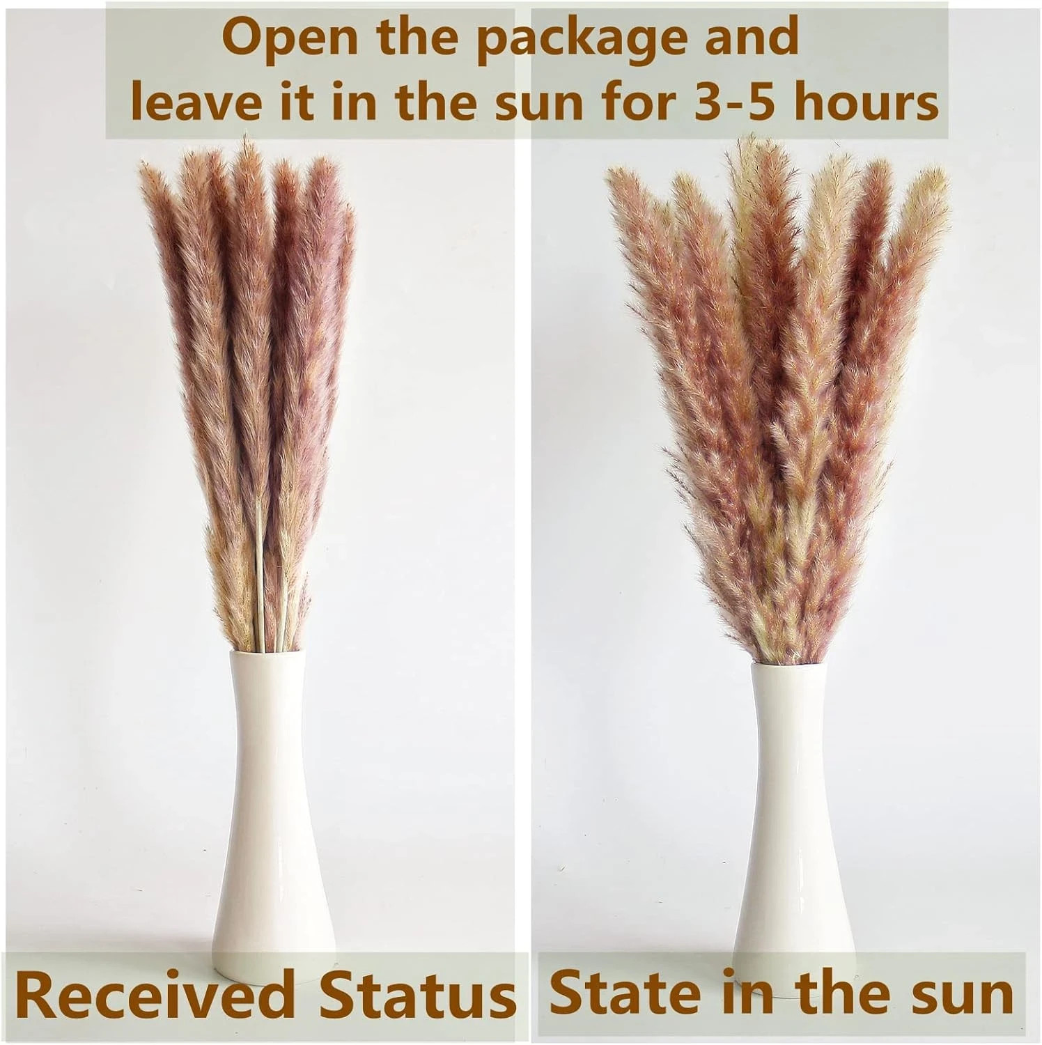 110 PCS of Boho Pampas Grass Decor, Naturally Dried Pompas, Bunny Tails Dried Fl