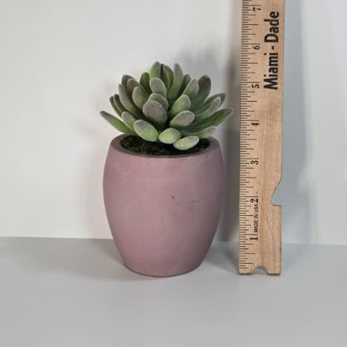 Modern Concrete Succulent in Pink Pot – Handmade Decor, No Water Needed!