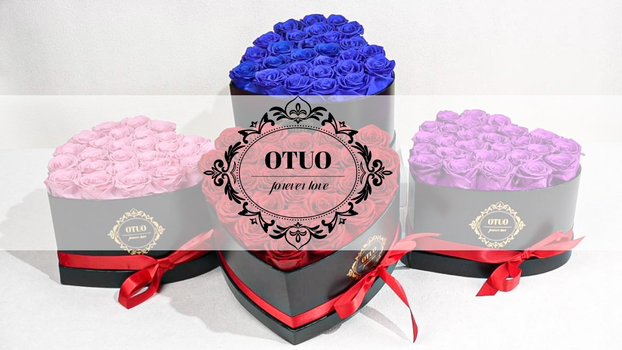 27 Preserved Red Roses in Heart Box – Lasts 2 Years, Forever Flowers for Gifts