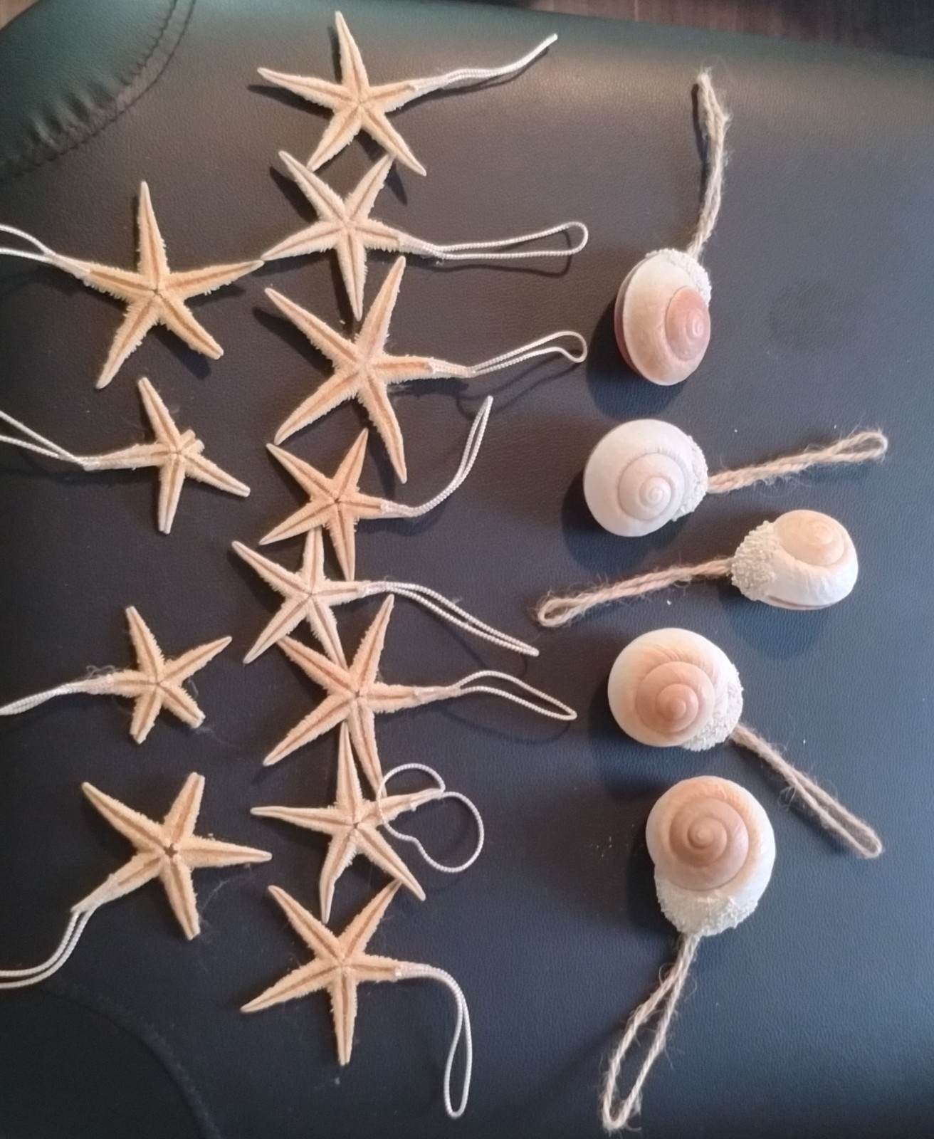 Sealife 12 Dried Starfish 5 Snail Seashell Hanging Ornament 17 Lot Natural Color