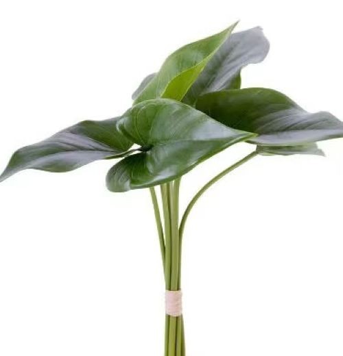 Real touch anthurium leaves with stems