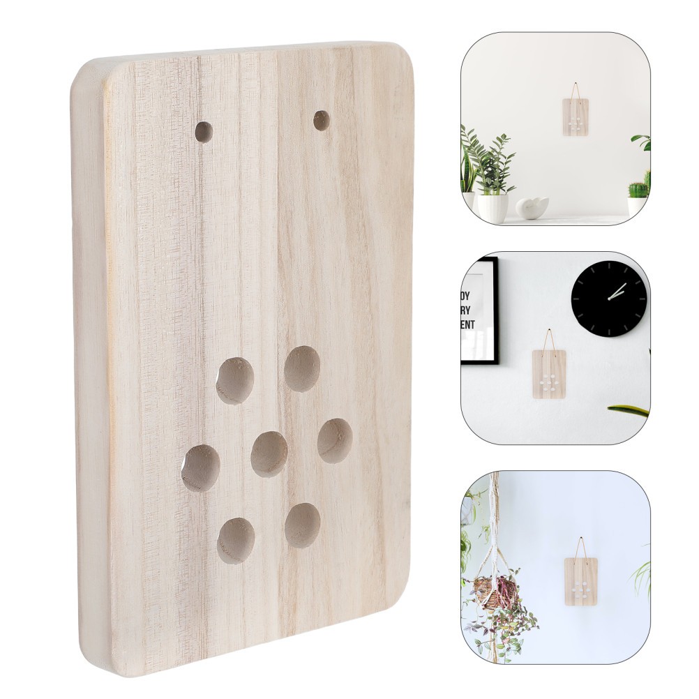 Fern Hanging Board: Wood Wall Planter for Ferns and Orchids – Vertical Decor