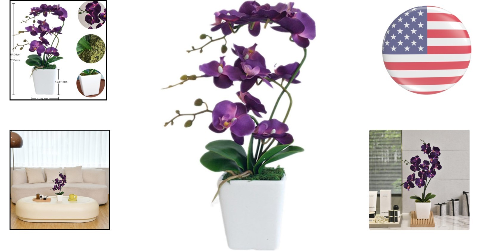 Eco-Friendly 15″ Phalaenopsis Orchid Plant in Dark Purple – A Classy Gift Idea