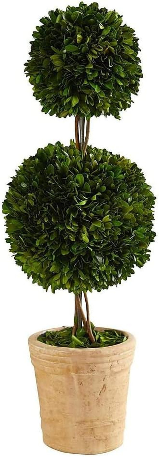 2.5Ft Double Ball Boxwood Topiary Tree in Stylish Decorative Planter