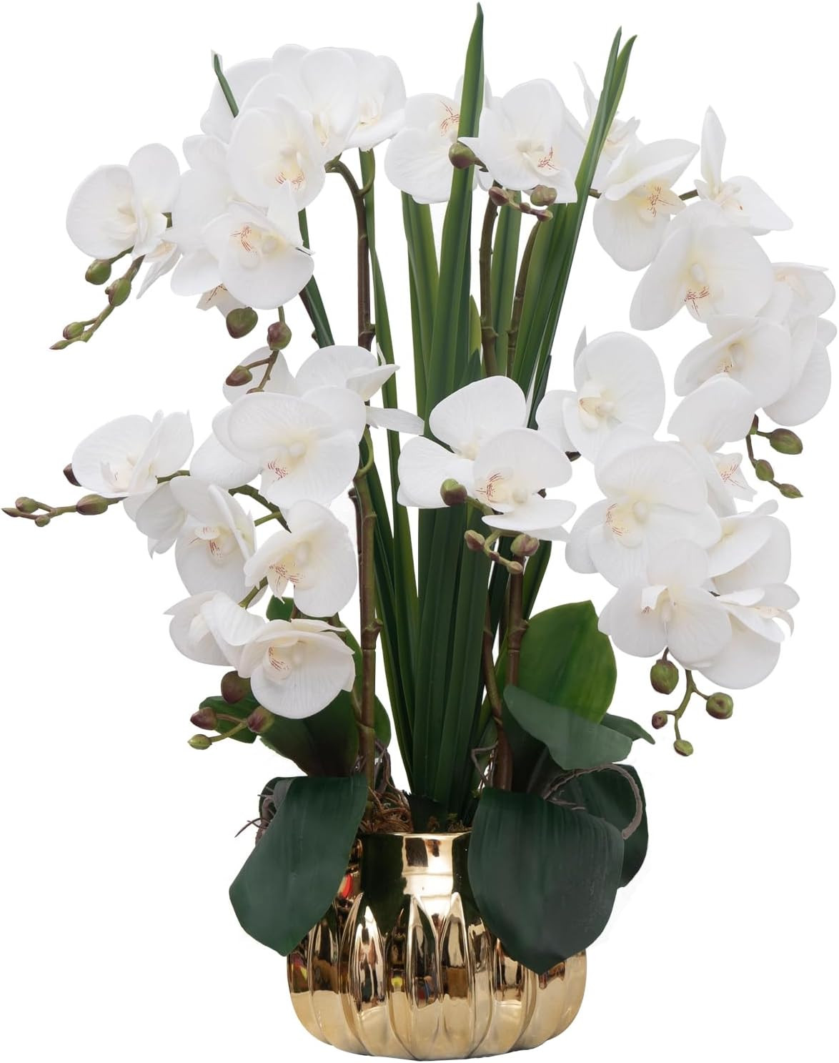 Real Touch Artificial Orchid in Ceramic Vase – 22.9” White Phalaenopsis Decor