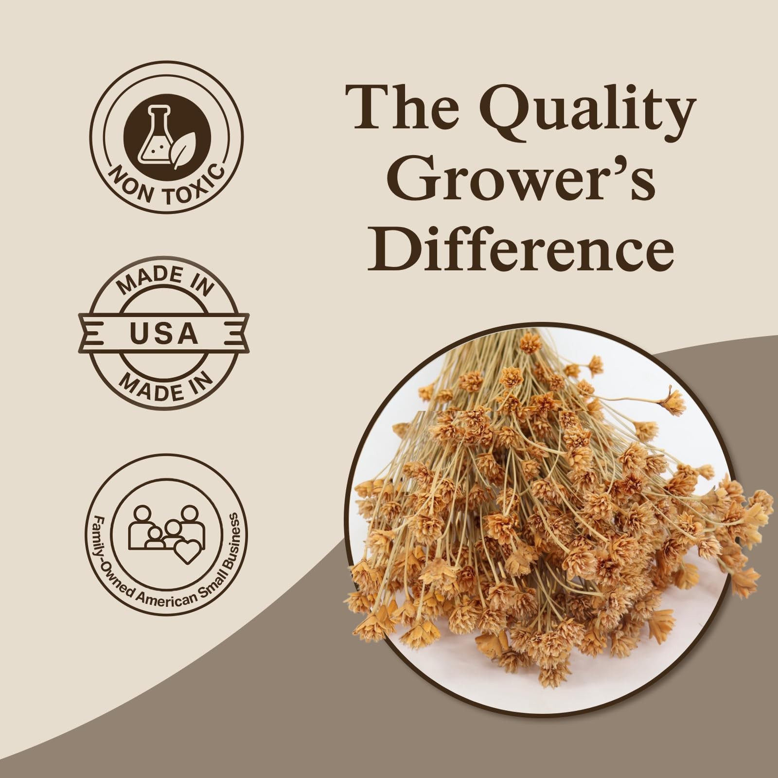 Hill Flowers (Natural) – Preserved Dried Flowers for Floral Arrangements, Wed…