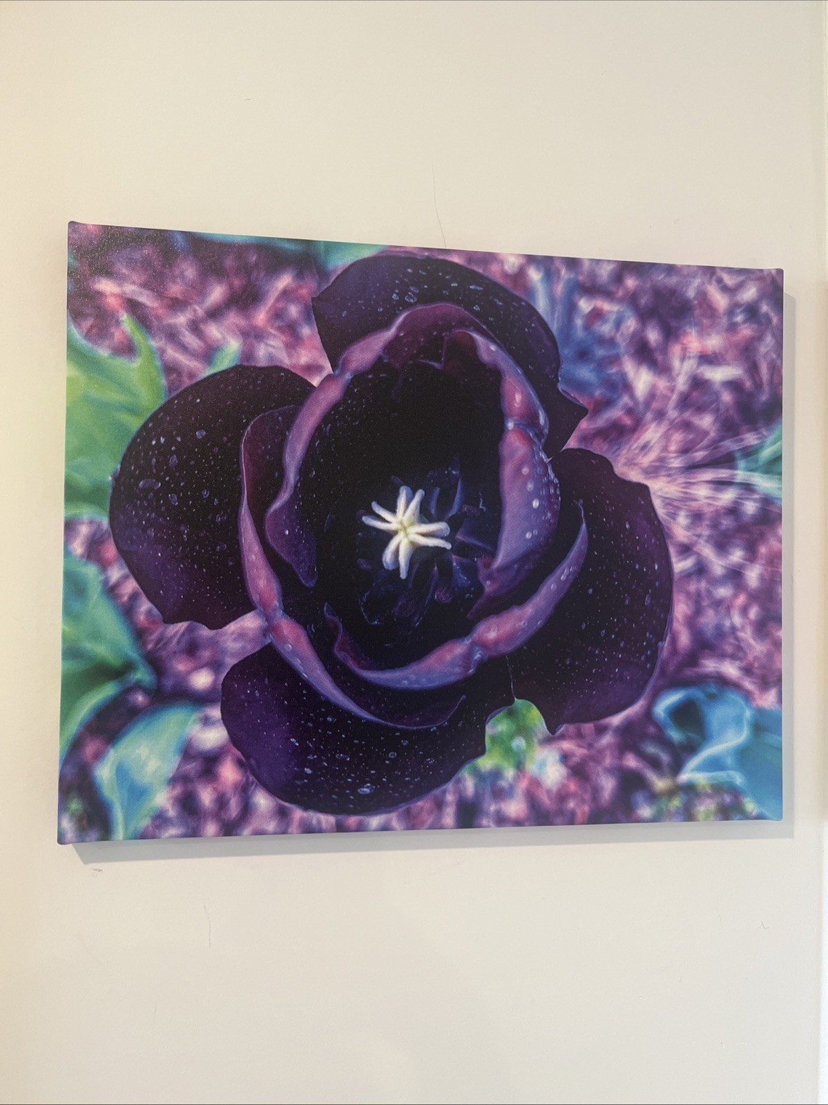 A Beautiful Purple Flower