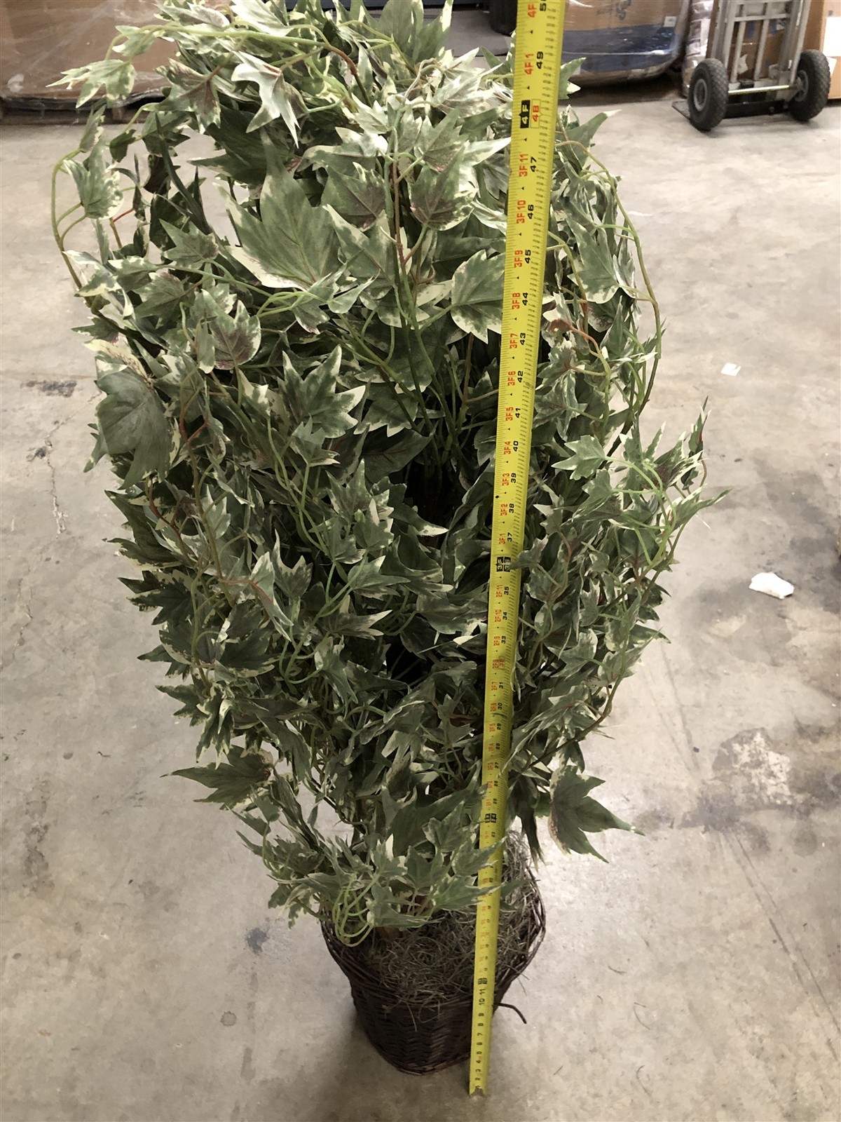 Vickerman TXX1640 4 ft. Silver Maple Extra Full