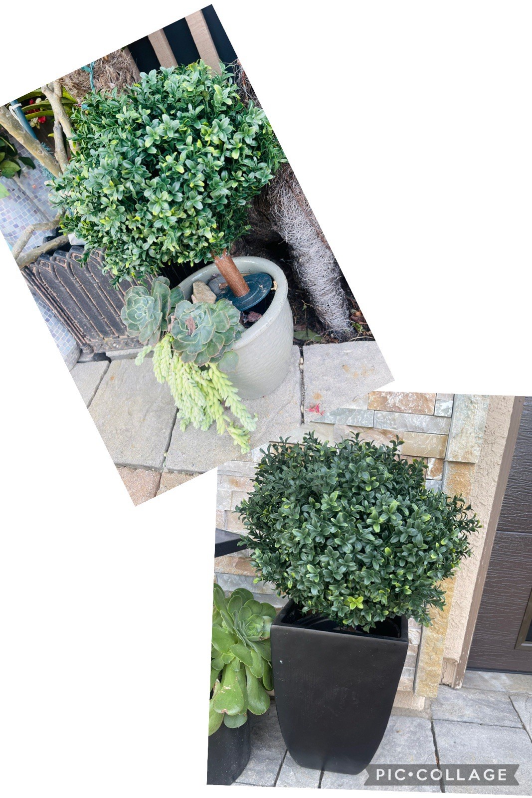 2 Packs Artificial Boxwood Topiary Ball Bush for Outdoor with Spike UV Resistant