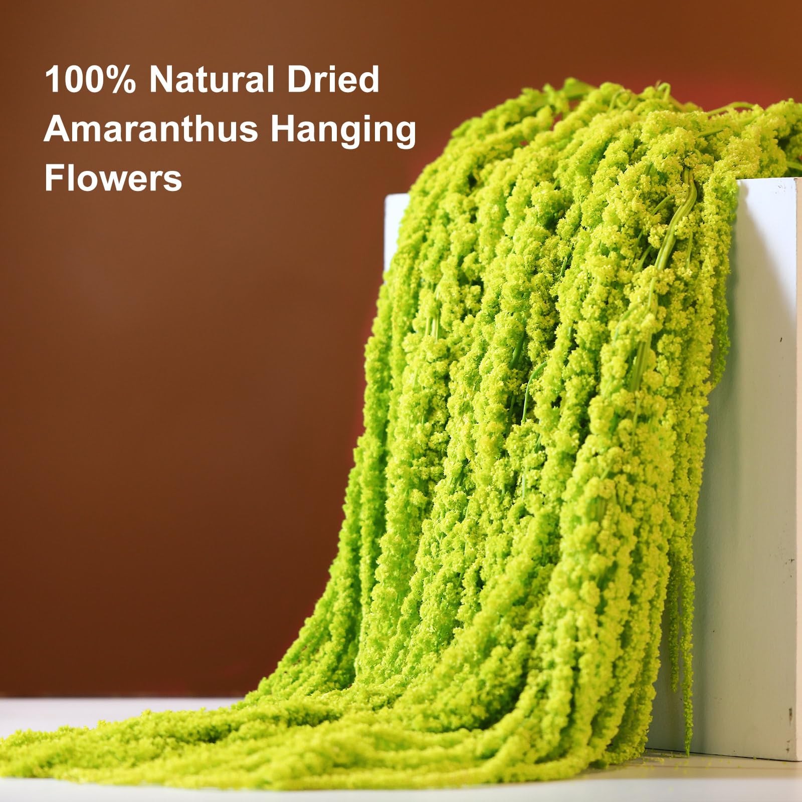 7Pcs Dried Amaranthus Hanging Flowers, 23″ Neon Lime Green Preserved Wisteria…