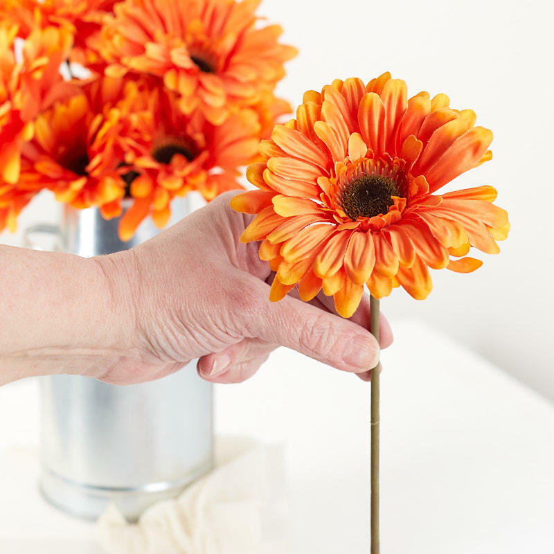 Package of 12 Realistic Variegated Orange Artificial Polysilk Gerbera Daisy