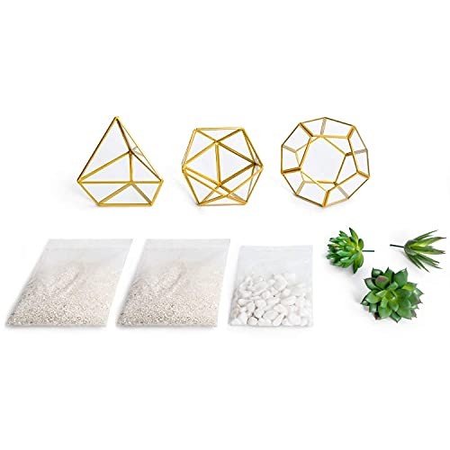 Artificial Succulent in 3 Pack Mini Glass Geometric Gold,green,clear